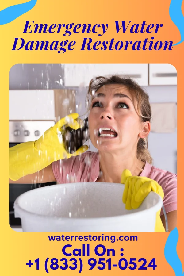 Emergency Water Damage Restoration in Woodburn, KY