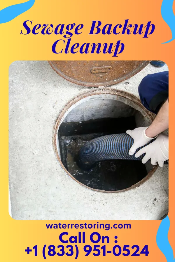 Sewage Backup Cleanup in Woodburn, KY